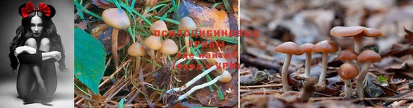 спайс Алексеевка