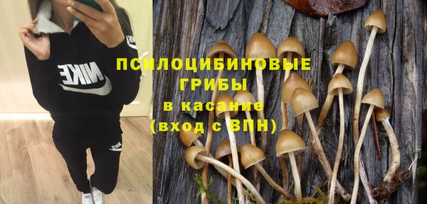 крисы Алексин