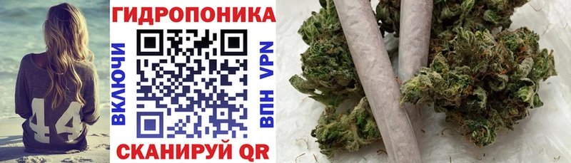 Шишки марихуана марихуана  наркошоп  Пролетарск 